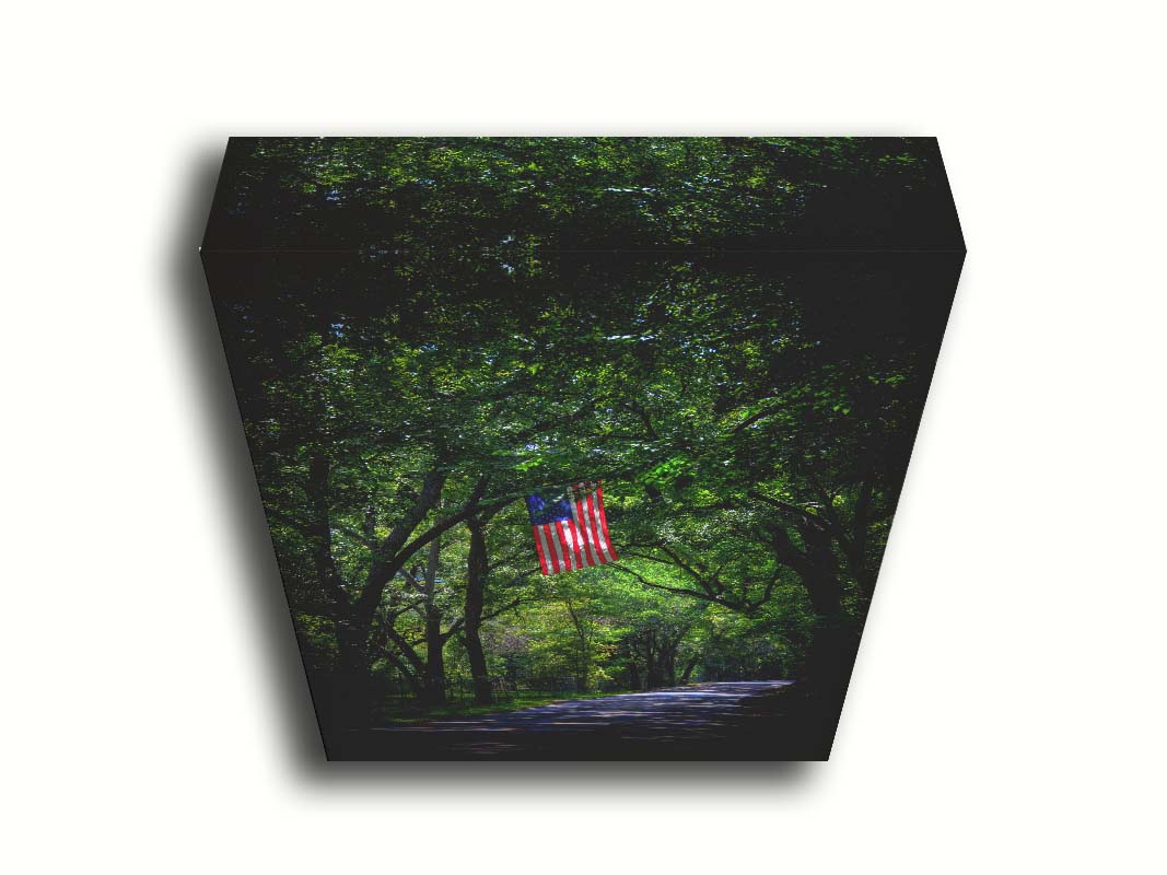 A photo of an American flag hanging from a branch over a road, surrounded by greenery and contrasted with a strong vignette. Printed on canvas.