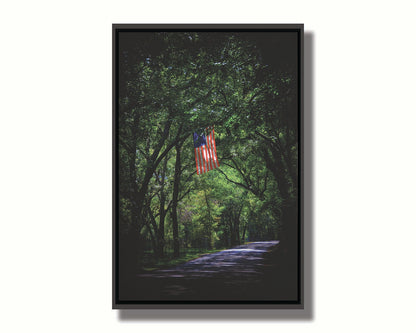 A photo of an American flag hanging from a branch over a road, surrounded by greenery and contrasted with a strong vignette. Printed on canvas in a float frame.