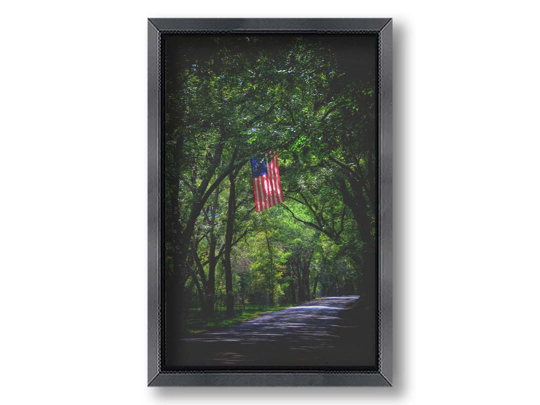 A photo of an American flag hanging from a branch over a road, surrounded by greenery and contrasted with a strong vignette. Printed on canvas and framed.