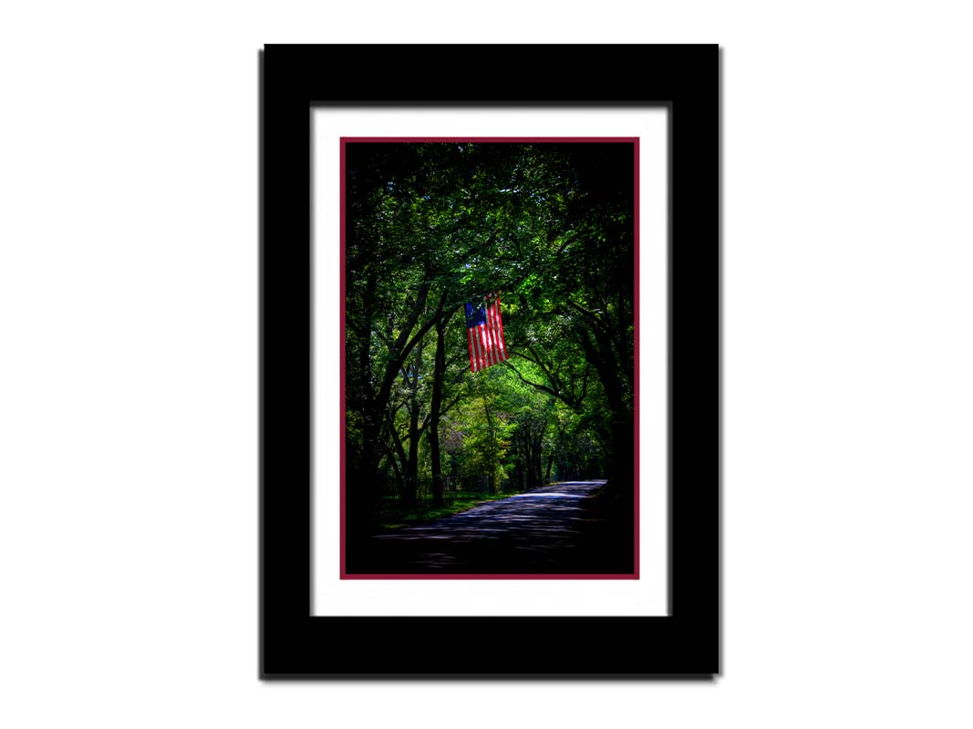 A photo of an American flag hanging from a branch over a road, surrounded by greenery and contrasted with a strong vignette. Printed on paper, matted, and framed.