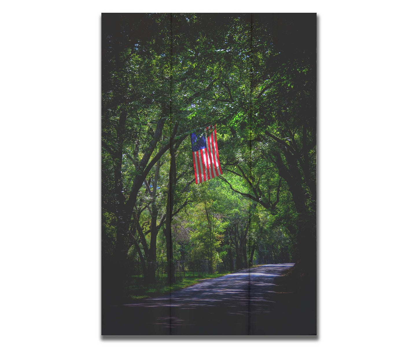 A photo of an American flag hanging from a branch over a road, surrounded by greenery and contrasted with a strong vignette. Printed on acrylic.