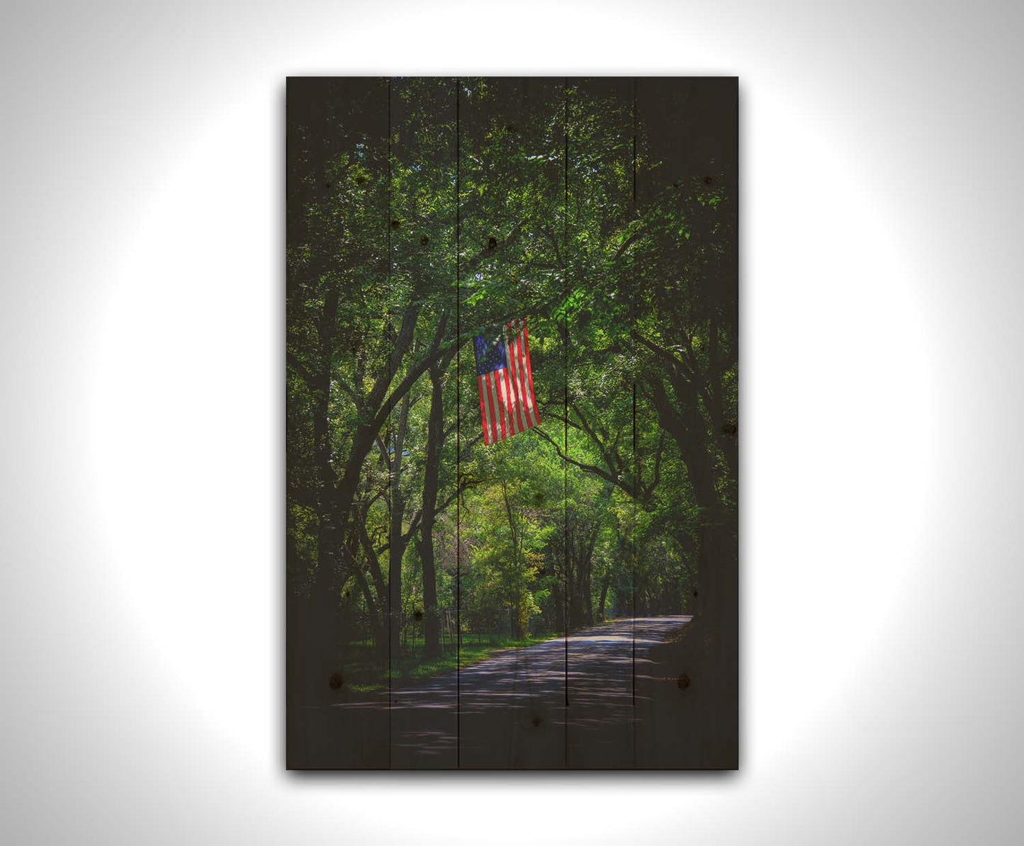 A photo of an American flag hanging from a branch over a road, surrounded by greenery and contrasted with a strong vignette. Printed on a box board.