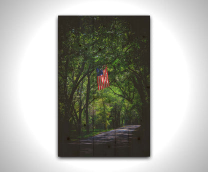 A photo of an American flag hanging from a branch over a road, surrounded by greenery and contrasted with a strong vignette. Printed on a box board.