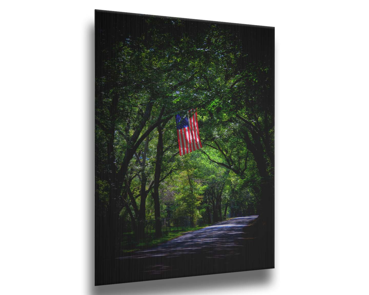 A photo of an American flag hanging from a branch over a road, surrounded by greenery and contrasted with a strong vignette. Printed on metal.