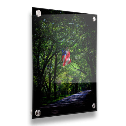 A photo of an American flag hanging from a branch over a road, surrounded by greenery and contrasted with a strong vignette. Printed on acrylic.