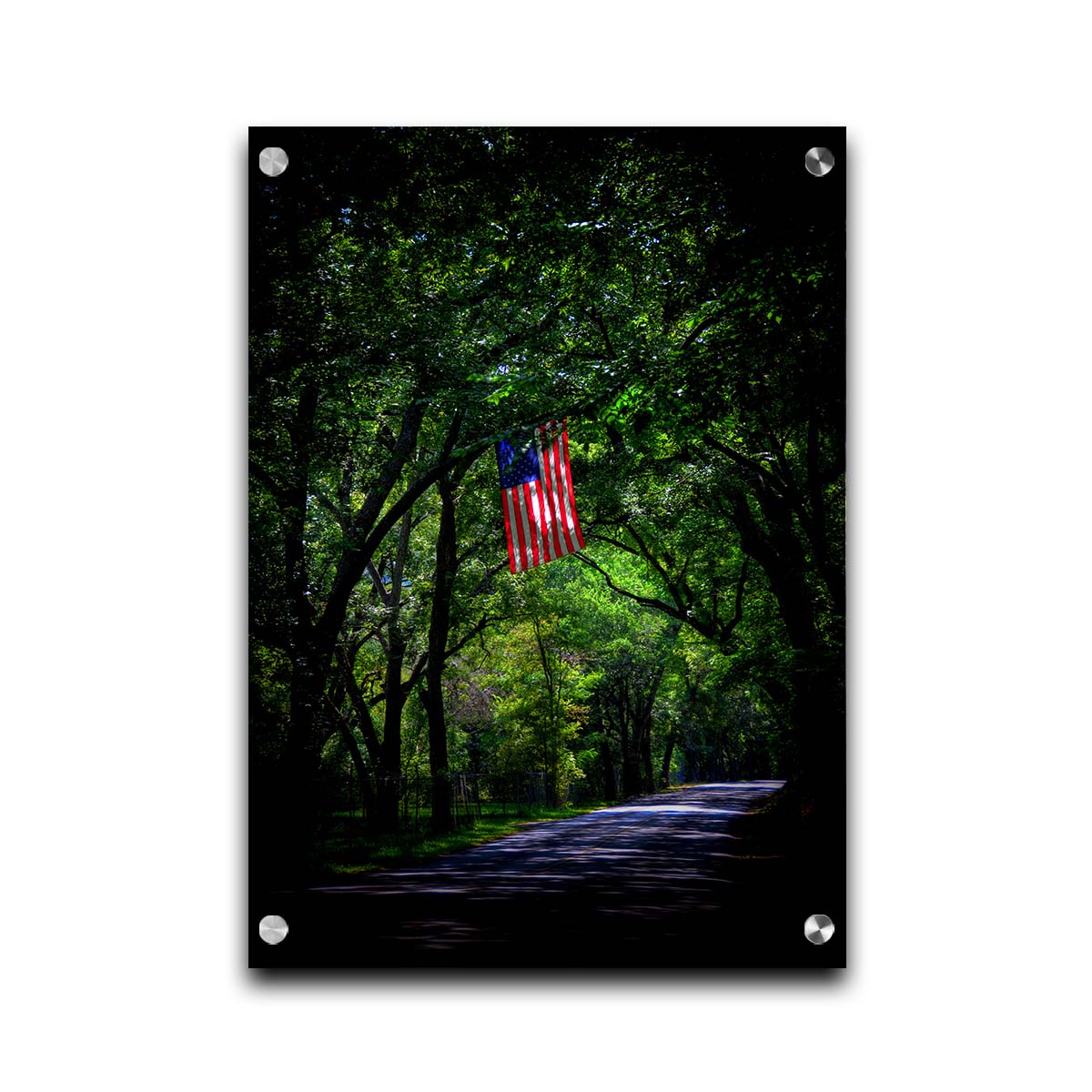 A photo of an American flag hanging from a branch over a road, surrounded by greenery and contrasted with a strong vignette. Printed on acrylic.