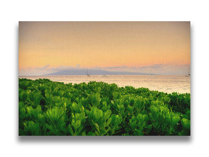 A photo overlooking the sea from Kaanapali beach in Hawaii. Green plants fill the foreground, and boats sail on the water in the distance against a gentle orange sky and purple clouds. Printed on canvas.