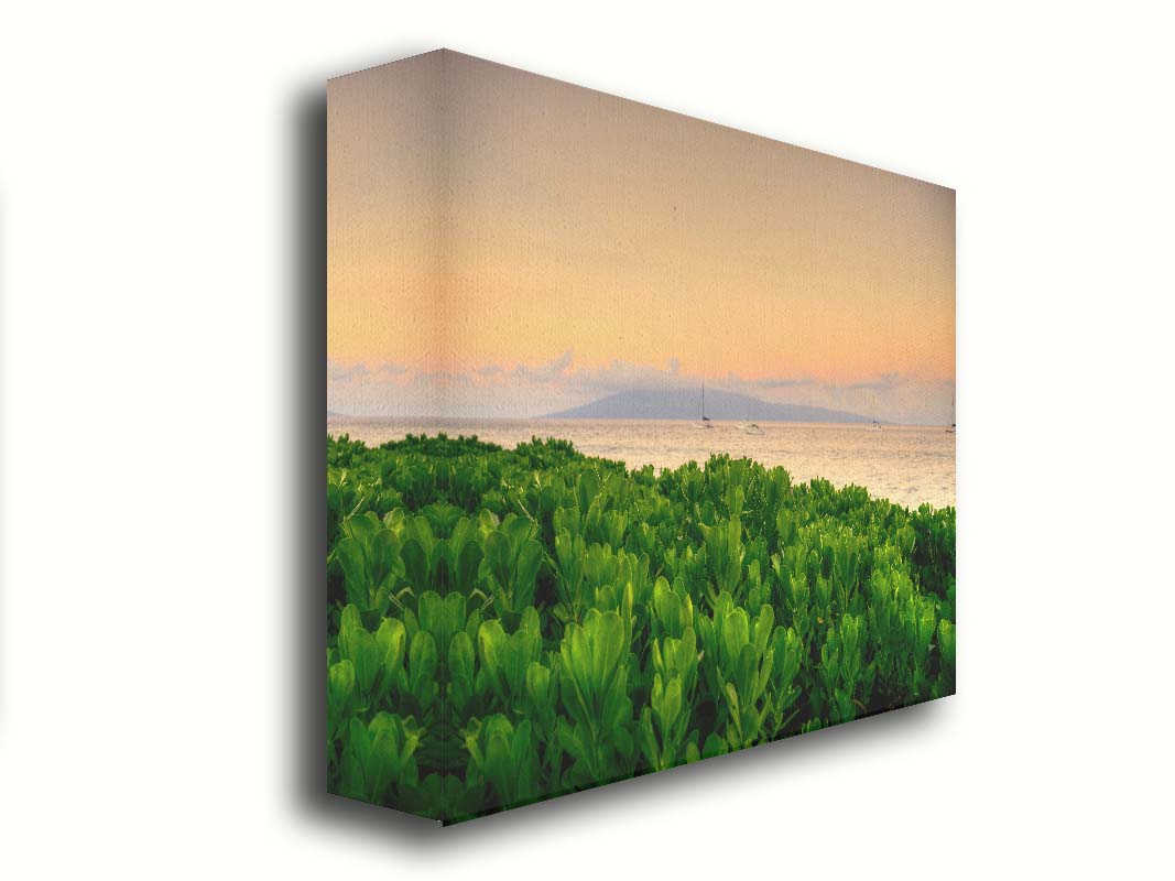 A photo overlooking the sea from Kaanapali beach in Hawaii. Green plants fill the foreground, and boats sail on the water in the distance against a gentle orange sky and purple clouds. Printed on canvas.