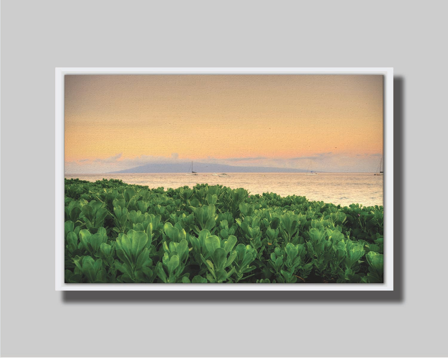 A photo overlooking the sea from Kaanapali beach in Hawaii. Green plants fill the foreground, and boats sail on the water in the distance against a gentle orange sky and purple clouds. Printed on canvas in a float frame.