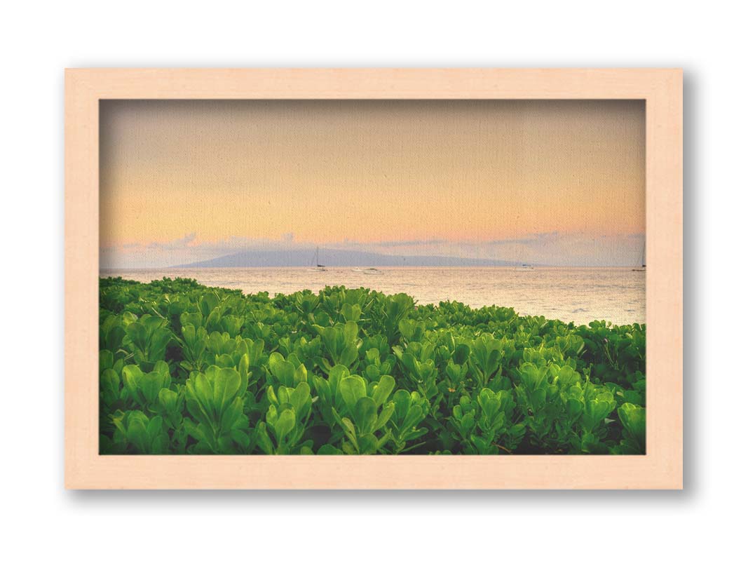 A photo overlooking the sea from Kaanapali beach in Hawaii. Green plants fill the foreground, and boats sail on the water in the distance against a gentle orange sky and purple clouds. Printed on canvas and framed.