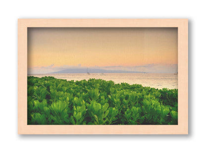 A photo overlooking the sea from Kaanapali beach in Hawaii. Green plants fill the foreground, and boats sail on the water in the distance against a gentle orange sky and purple clouds. Printed on canvas and framed.