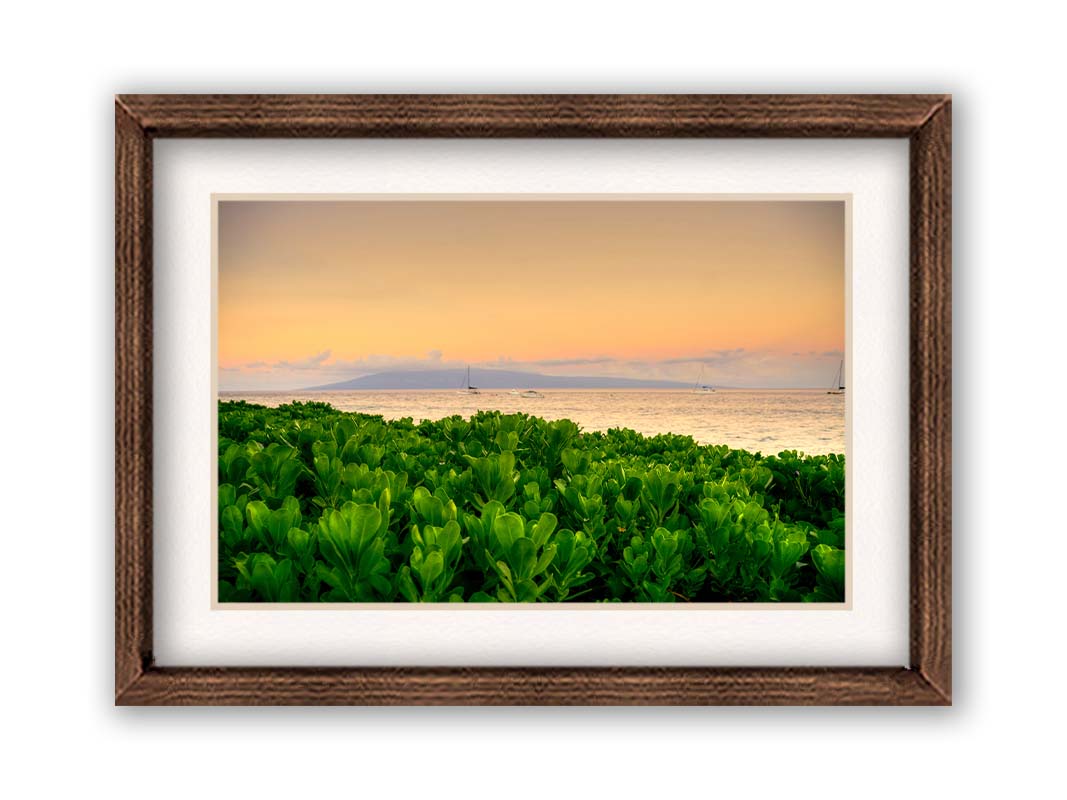 A photo overlooking the sea from Kaanapali beach in Hawaii. Green plants fill the foreground, and boats sail on the water in the distance against a gentle orange sky and purple clouds. Printed on paper, matted, and framed.