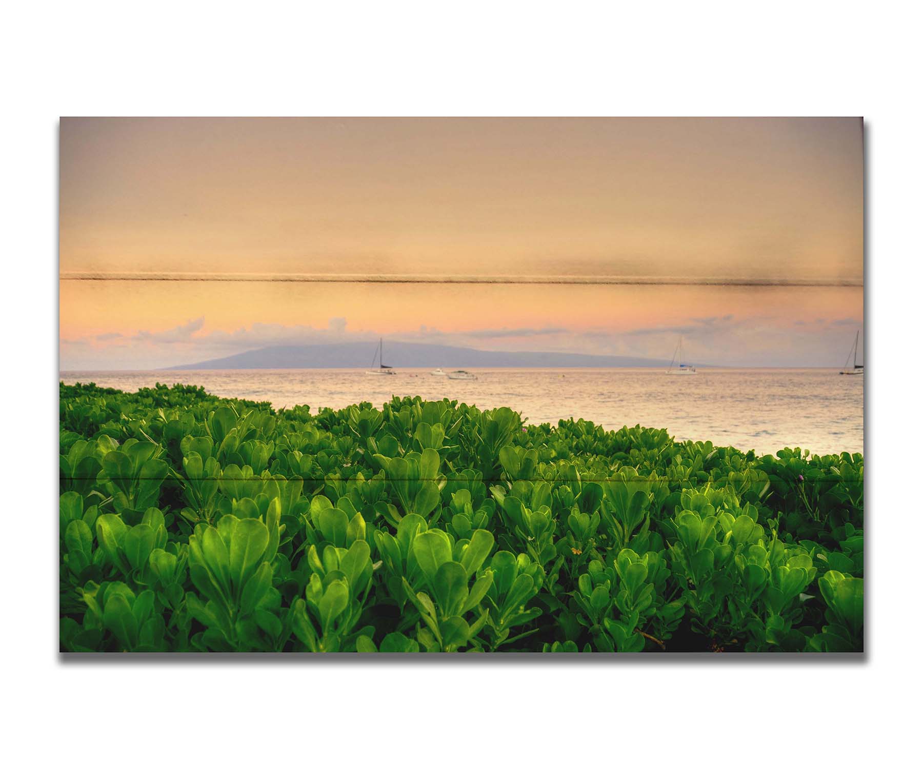 A photo overlooking the sea from Kaanapali beach in Hawaii. Green plants fill the foreground, and boats sail on the water in the distance against a gentle orange sky and purple clouds. Printed on a box board.