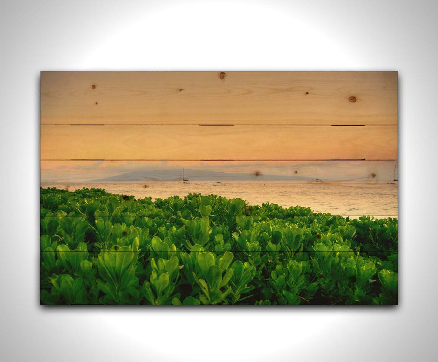 A photo overlooking the sea from Kaanapali beach in Hawaii. Green plants fill the foreground, and boats sail on the water in the distance against a gentle orange sky and purple clouds. Printed on a wood pallet.