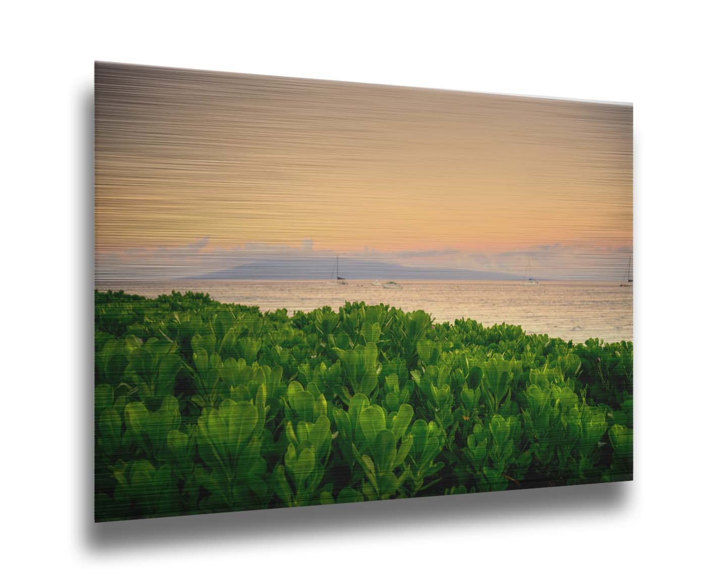 A photo overlooking the sea from Kaanapali beach in Hawaii. Green plants fill the foreground, and boats sail on the water in the distance against a gentle orange sky and purple clouds. Printed on metal.