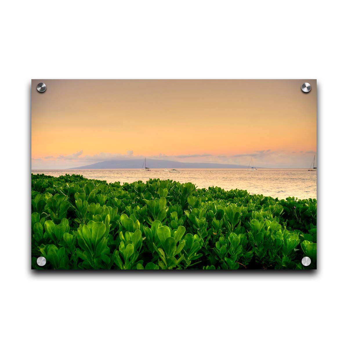 A photo overlooking the sea from Kaanapali beach in Hawaii. Green plants fill the foreground, and boats sail on the water in the distance against a gentle orange sky and purple clouds. Printed on acrylic.