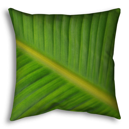 A throw pillow designed with a closeup photo of a leaf of a bird of paradise palm, showing all the detail of the midrib and veins of the leaf.