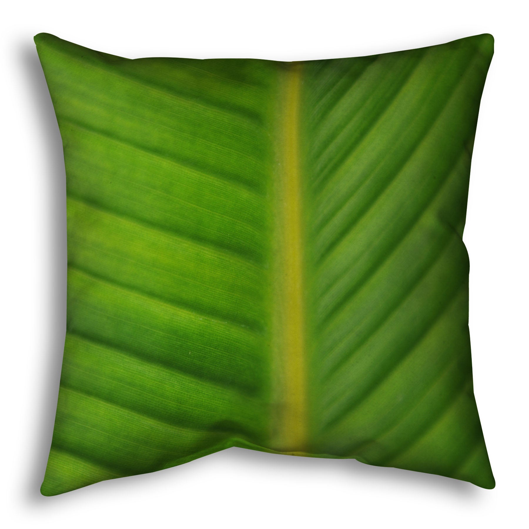 A throw pillow designed with a closeup photo of a bird of paradise leaf, showing all the detail of the midrib and veins of the leaf.