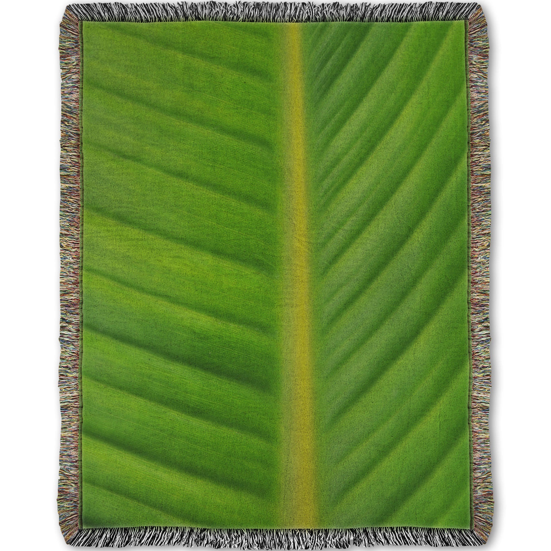 A woven throw blanket designed with a closeup photo of a bird of paradise leaf, showing all the detail of the midrib and veins of the leaf.