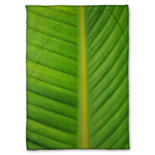 A fleece throw blanket designed with a closeup photo of a bird of paradise leaf, showing all the detail of the midrib and veins of the leaf.