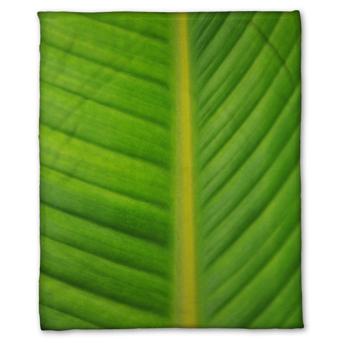A fleece throw blanket designed with a closeup photo of a bird of paradise leaf, showing all the detail of the midrib and veins of the leaf.