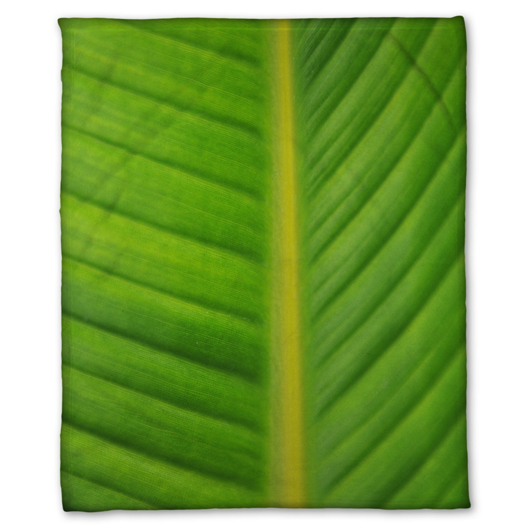 A fleece throw blanket designed with a closeup photo of a bird of paradise leaf, showing all the detail of the midrib and veins of the leaf.