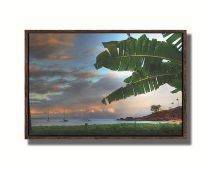 A photo of Ka'anapali beach in Hawai'i. Boats can be seen sailing on the ocean, and bright green plants grow in the foreground alongside a palm. Printed on canvas in a float frame.