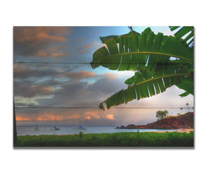 A photo of Ka'anapali beach in Hawai'i. Boats can be seen sailing on the ocean, and bright green plants grow in the foreground alongside a palm. Printed on a box board.