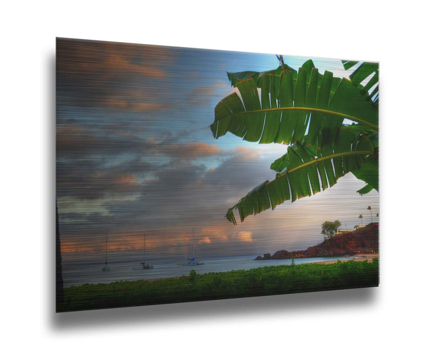 A photo of Ka'anapali beach in Hawai'i. Boats can be seen sailing on the ocean, and bright green plants grow in the foreground alongside a palm. Printed on metal.