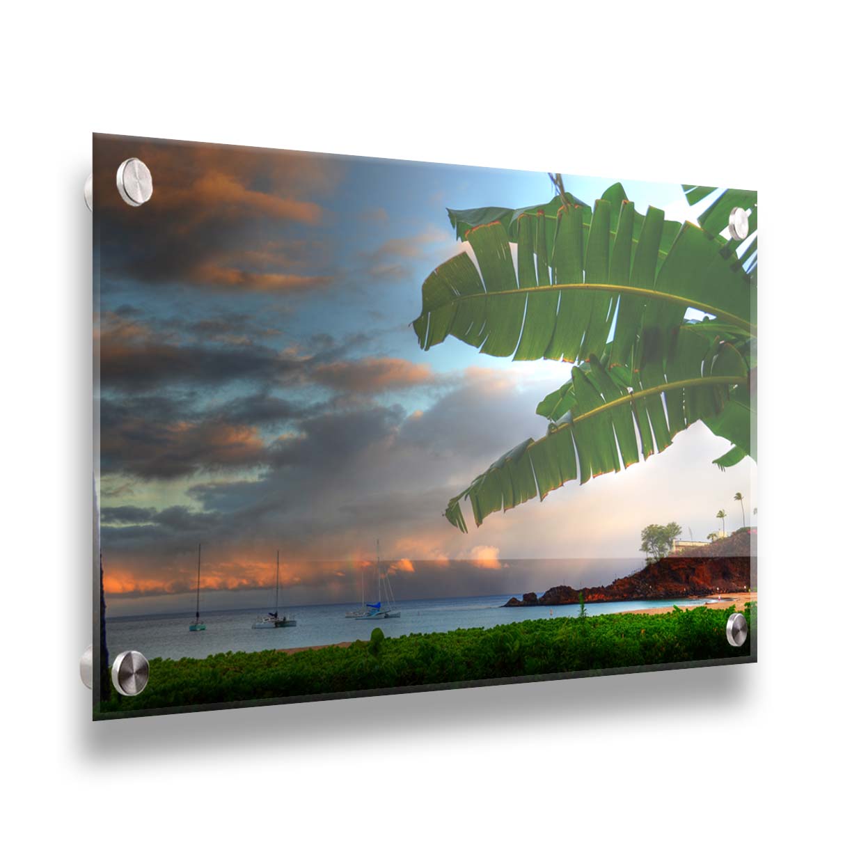 A photo of Ka'anapali beach in Hawai'i. Boats can be seen sailing on the ocean, and bright green plants grow in the foreground alongside a palm. Printed on acrylic.