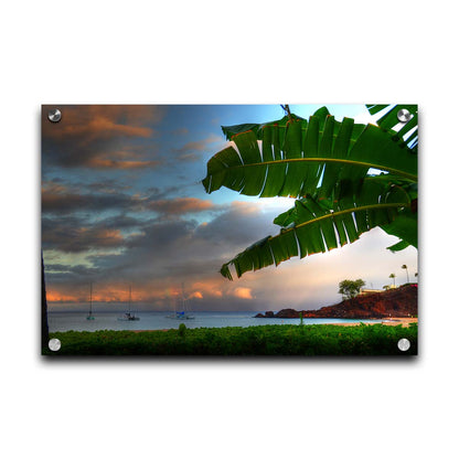 A photo of Ka'anapali beach in Hawai'i. Boats can be seen sailing on the ocean, and bright green plants grow in the foreground alongside a palm. Printed on acrylic.