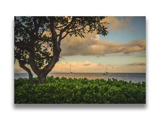 A photo looking out to sea at Kaʻanapali beach, with sail boats on the ocean under clouds lit by the sunset. Lush shrubbery and a plumeria tree fill the foreground. Printed on canvas.