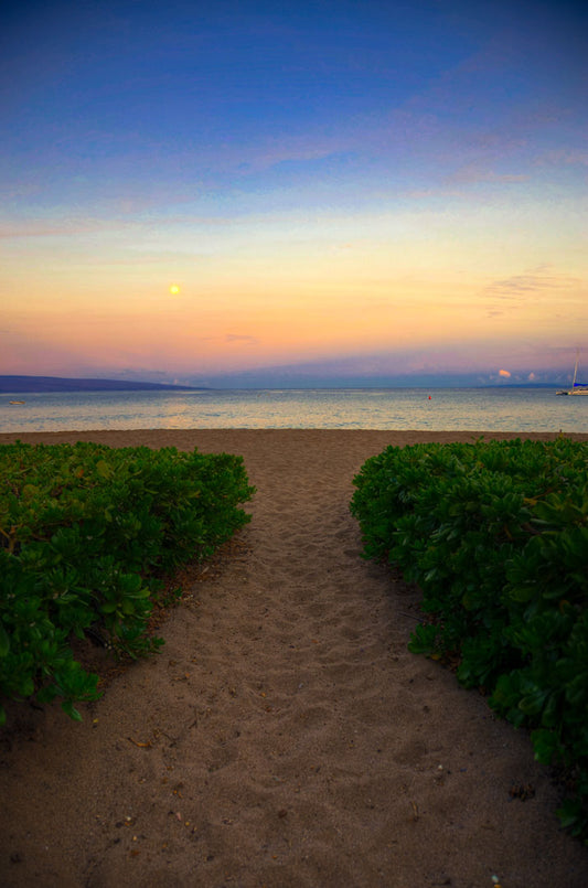 A photo looking out to sea at Kaʻanapali beach at sunset. Lush foliage lines the path down the beach, and sail boats can be see on the water.