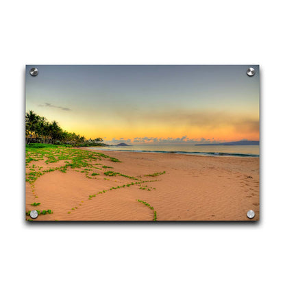 A photo of Keawakapu Beach at sunrise, with palms and mountains in the distance. Printed on acrylic.