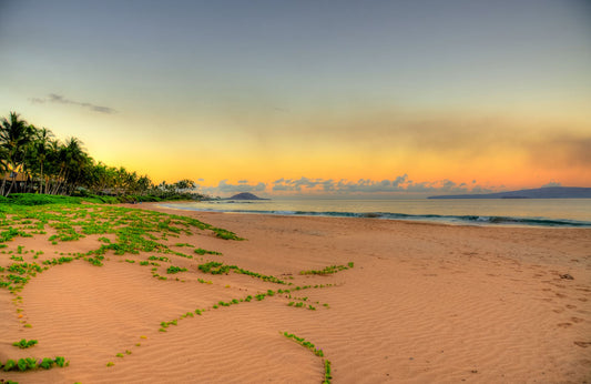 A photo of Keawakapu Beach at sunrise, with palms and mountains in the distance. 
