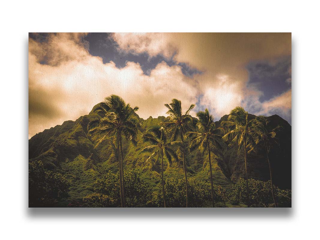 A photo of a line of palm trees in the wind, backed by the Koʻolau mountain range. Printed on canvas.