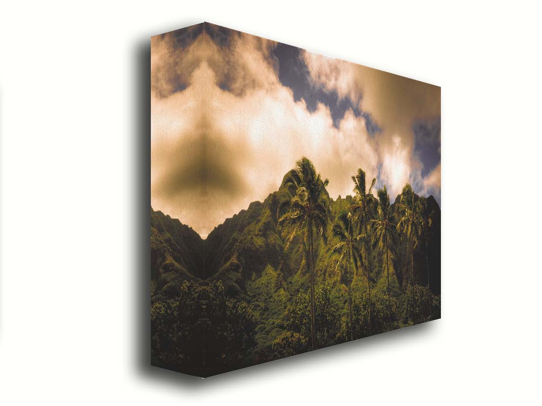 A photo of a line of palm trees in the wind, backed by the Koʻolau mountain range. Printed on canvas.