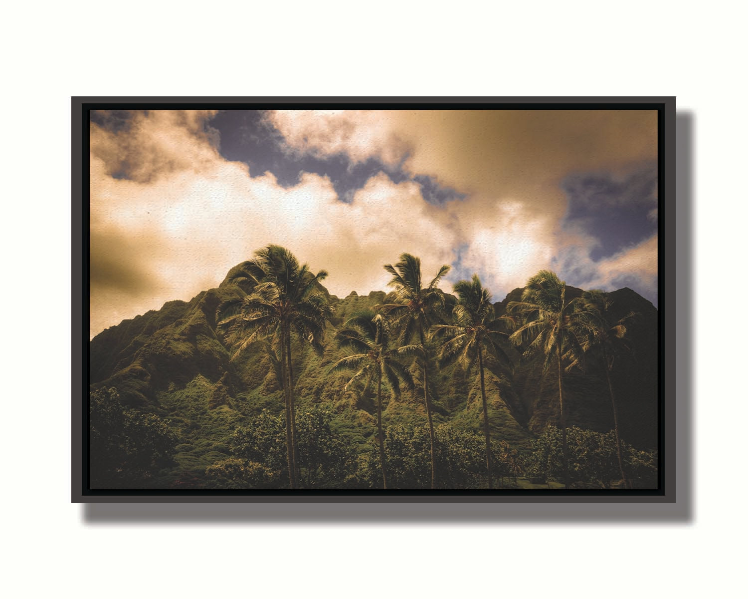 A photo of a line of palm trees in the wind, backed by the Koʻolau mountain range. Printed on canvas in a float frame.