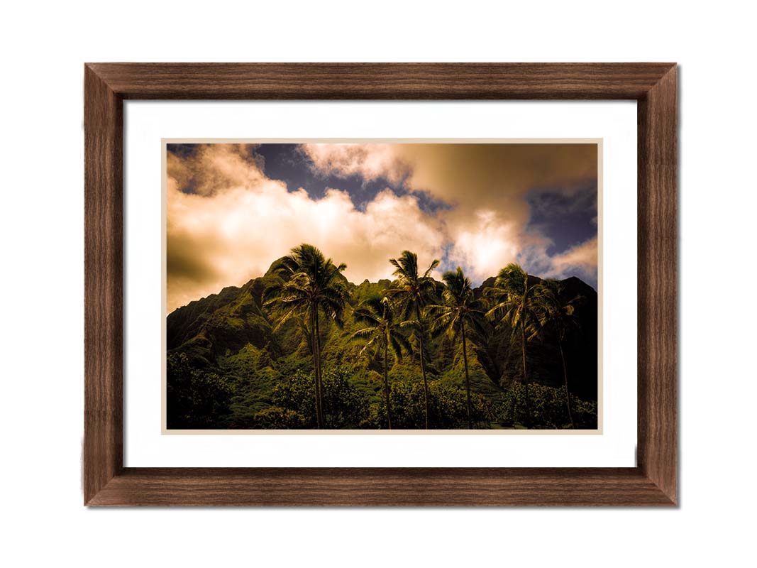 A photo of a line of palm trees in the wind, backed by the Koʻolau mountain range. Printed on paper, matted, and framed.