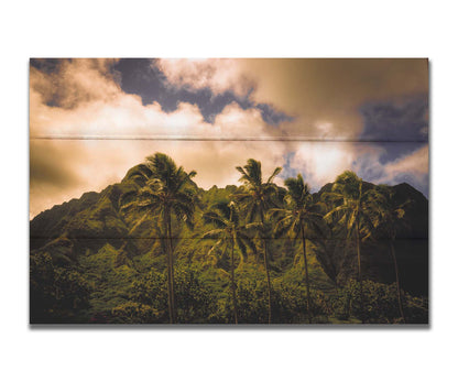 A photo of a line of palm trees in the wind, backed by the Koʻolau mountain range. Printed on a box board.