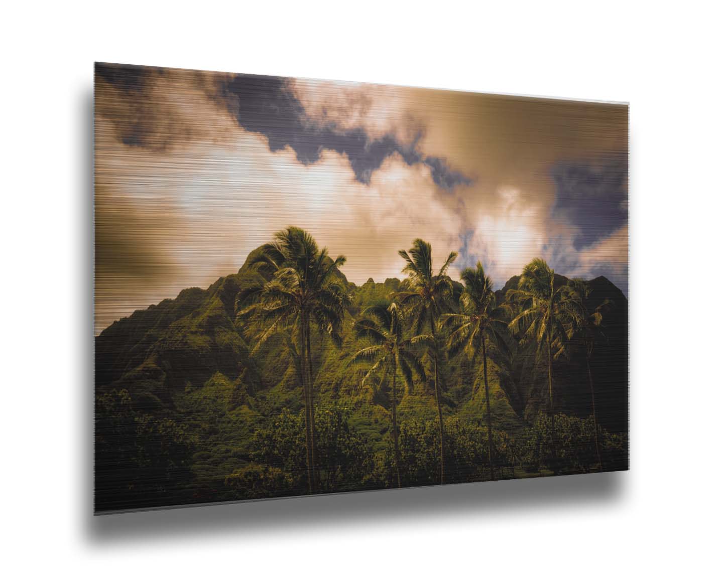 A photo of a line of palm trees in the wind, backed by the Koʻolau mountain range. Printed on metal.