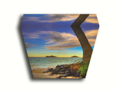 A photo of the Kaʻōhao beach, looking out at the sea. A palm tree sits nestled on rocks in the foreground. Printed on canvas.