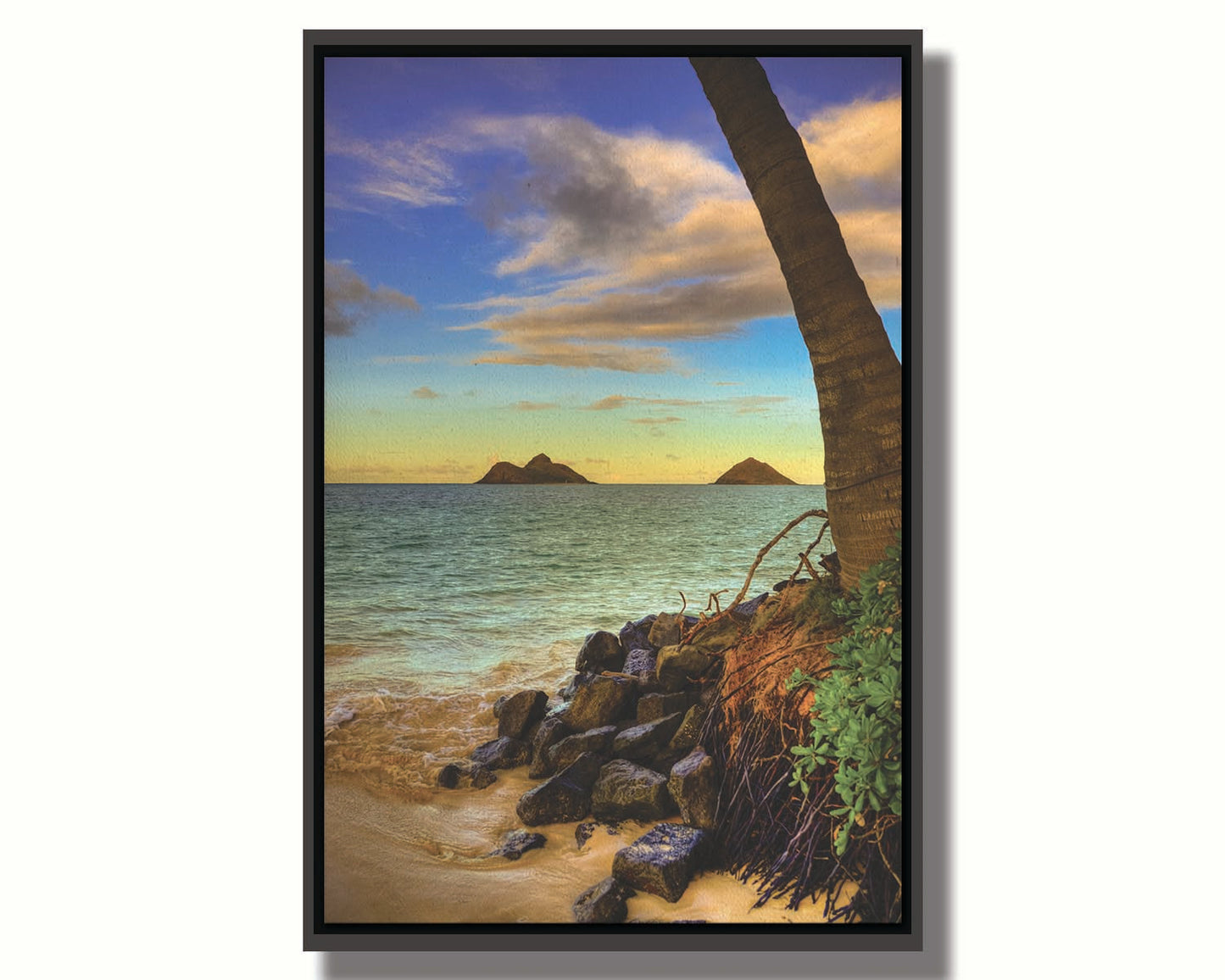 A photo of the Kaʻōhao beach, looking out at the sea. A palm tree sits nestled on rocks in the foreground. Printed on canvas in a float frame.