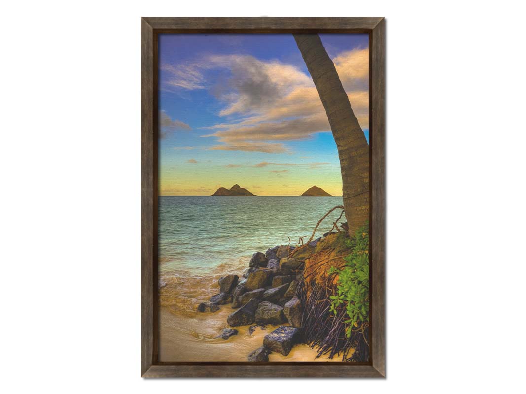 A photo of the Kaʻōhao beach, looking out at the sea. A palm tree sits nestled on rocks in the foreground. Printed on canvas and framed.