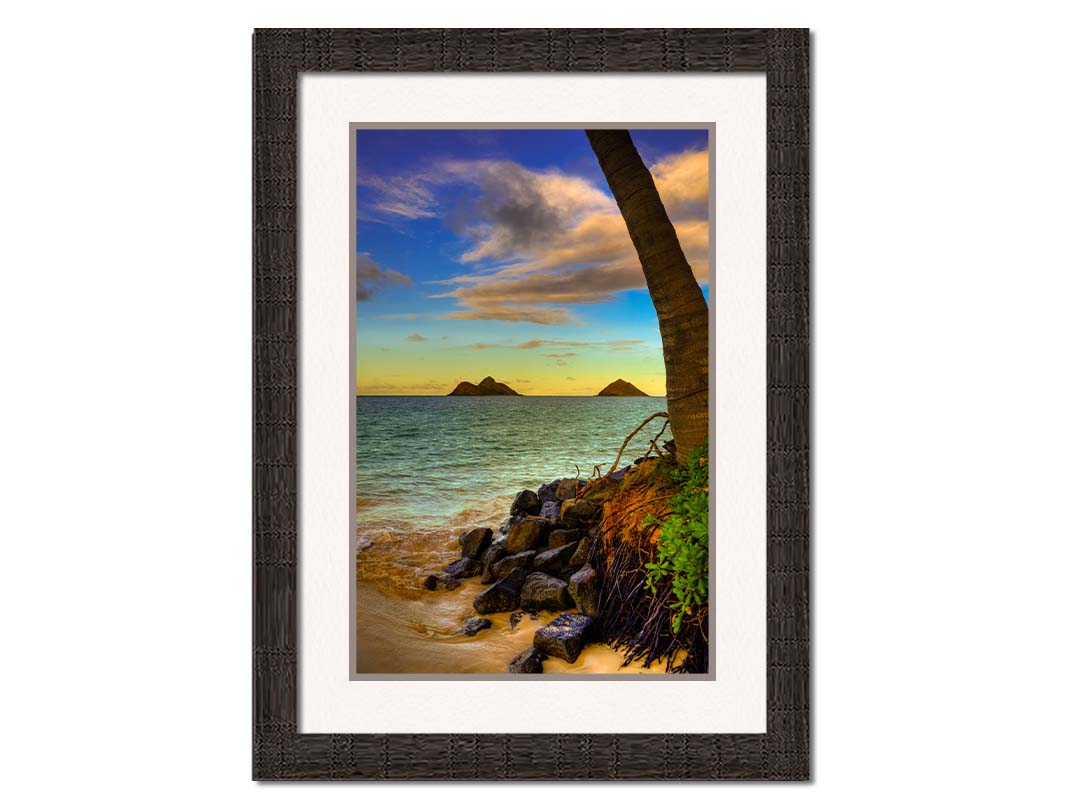 A photo of the Kaʻōhao beach, looking out at the sea. A palm tree sits nestled on rocks in the foreground. Printed on paper, matted, and framed.