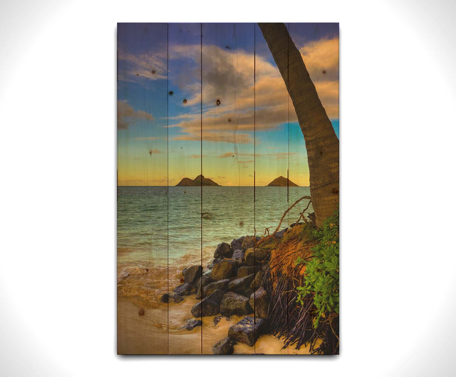 A photo of the Kaʻōhao beach, looking out at the sea. A palm tree sits nestled on rocks in the foreground. Printed on a wood pallet.