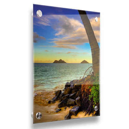 A photo of the Kaʻōhao beach, looking out at the sea. A palm tree sits nestled on rocks in the foreground. Printed on acrylic.