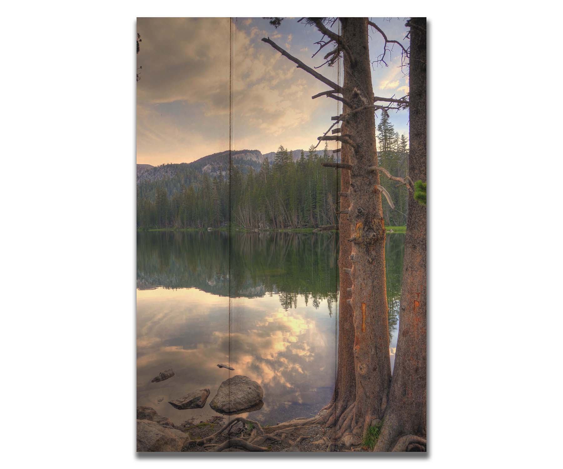 A photo overlooking Lake Mamie at Mammoth Mountain, California. The lake is surrounded by a forest of trees, with the mountains in the background. Printed on a box board.