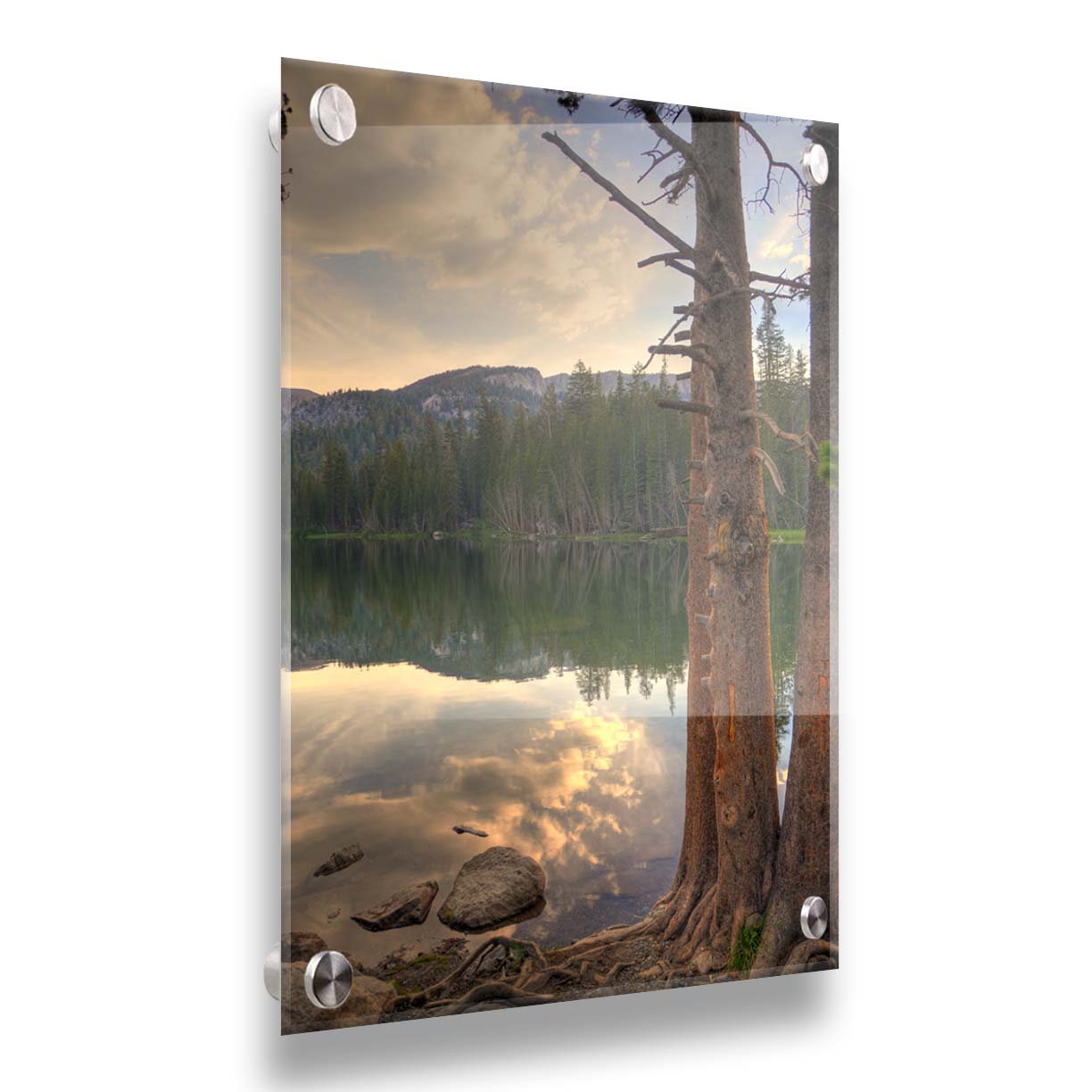 A photo overlooking Lake Mamie at Mammoth Mountain, California. The lake is surrounded by a forest of trees, with the mountains in the background. Printed on acrylic.