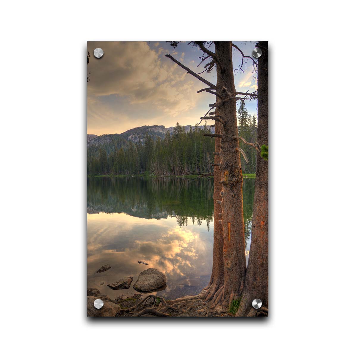 A photo overlooking Lake Mamie at Mammoth Mountain, California. The lake is surrounded by a forest of trees, with the mountains in the background. Printed on acrylic.